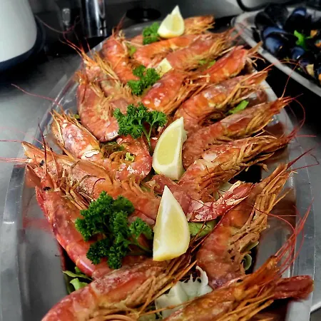 德尔比酒店 酒店 里米尼