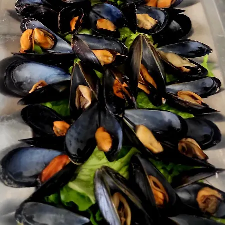 酒店 德尔比酒店